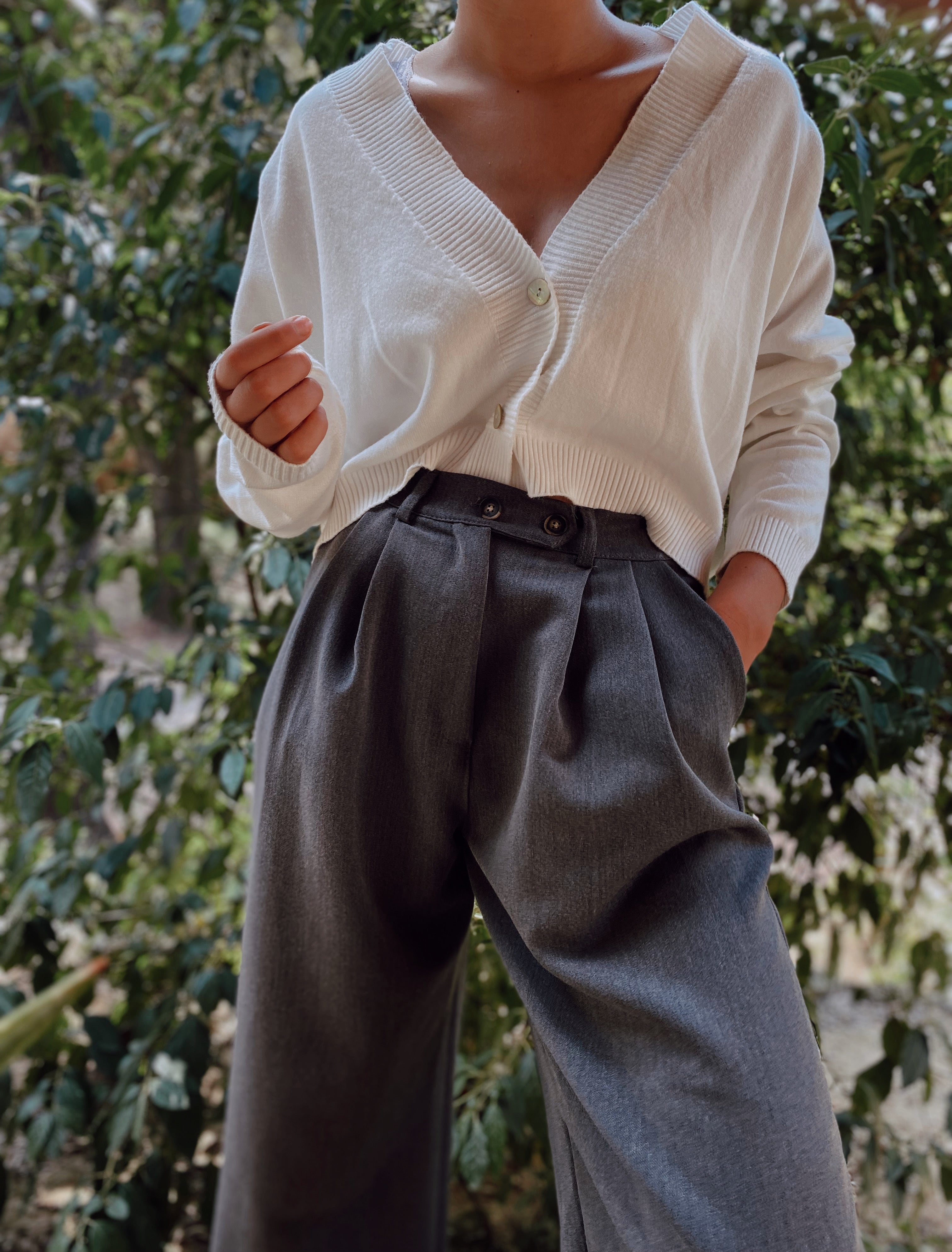 Pantalón Pinzas Amberes